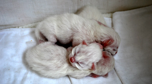 5 days - photo: Kathrine
